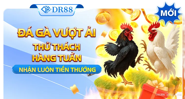 Bùng Nổ Cùng Sự Kiện “ĐÁ GÀ VƯỢT ẢI” – Thử Thách Hàng Tuần Nhận Ngay Tiền Thưởng